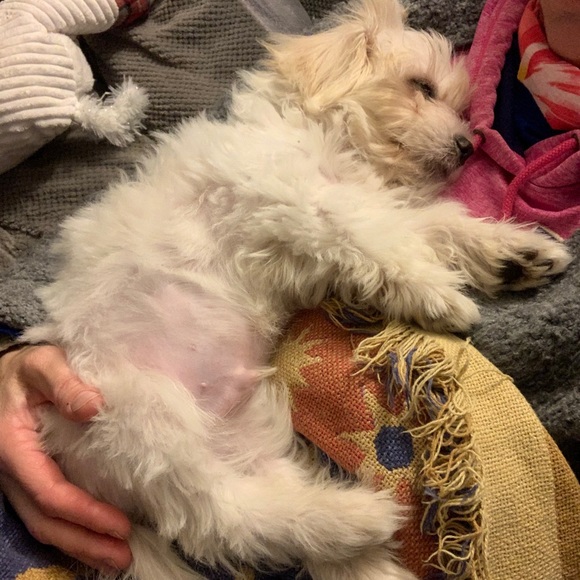 🙏❤️FINALLY a Healthy LITTLE boy! Thanks All!❤️🙏 - Picture 6 of 16